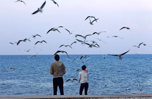 Včasih nas  v morju in na kakšni plaži presenetijo  neobičajne 
živali, ki se tam znajdejo po naključju ali zato, ker je človek 
nevarno posegel v njihov naravni habitat.  