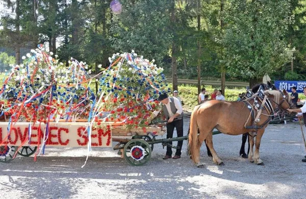 Člani TD Pudgura vsako leto izberejo eno temo, povezano z   
življenjem nekoč na podeželju. Tako so lani predstavili 
vestirungo (na fotografiji), prej pa med drugim vasovaje,  
furanje hlodov iz gozda, kuhanje oglja, oblikovanje kamna za 
tlakovanje cest in pripravo drv po starem.