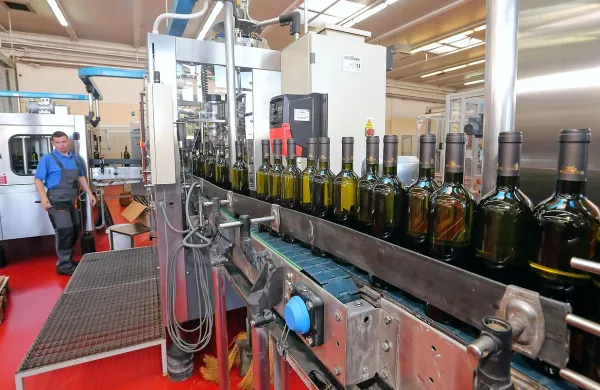 Za polovico Adriafina, ki je večinski lastnik Vinakopra, sta 
resna kupca dva, predkupno pravico pa ima Luka Koper. Na 
fotografiji: polnilnica kleti Vinakoper    