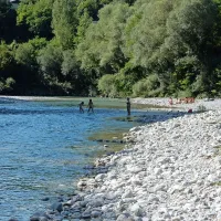    Delovno akcijo bodo pobudniki začeli ob 8. uri in zaključili v 
času kosila
