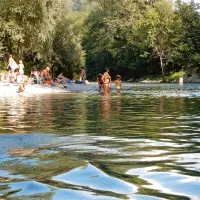  Delovno akcijo bodo pobudniki začeli ob 8. uri in zaključili v 
času kosila