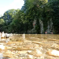    Delovno akcijo bodo pobudniki začeli ob 8. uri in zaključili v 
času kosila.