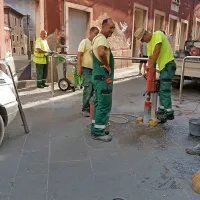 Oviro so postavili danes zjutraj.