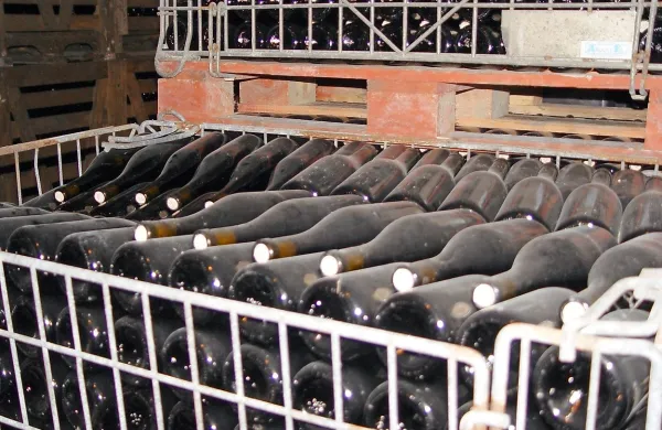 Finančni stražniki so v okolici Caserte zasegli štiri palete vina, 
ki so jih goljufi “kupili” pri slovenskem vinogradniku iz Brd. 