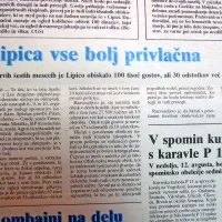 Lipica je privabljala vse več obiskovalcev.