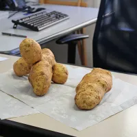 Presenečenje na njivi