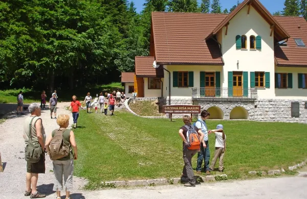 Turiste pritegnejo velike, pa tudi male zgodbe. Ena takih je 
večerno opazovanje medvedov, ki ga pripravljajo na 
Mašunu. 