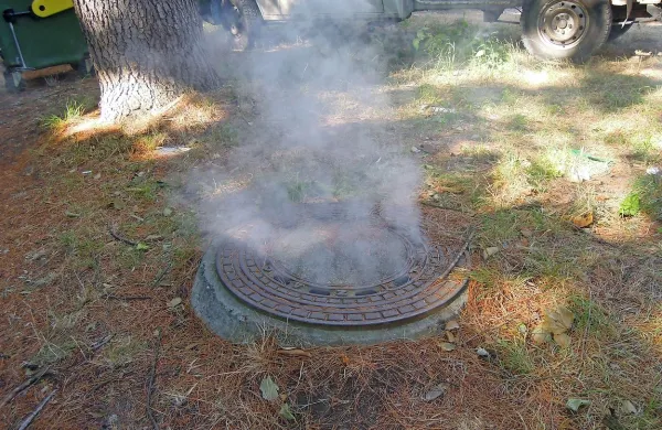 Uničevanje &scaron;čurkov v Olmu