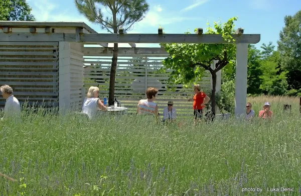 Člani društva so izobraževanje na Debelen rtiču izkoristili tudi 
za izlet po Vipavski dolini. 