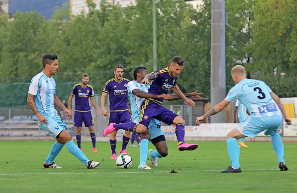 Nogometaši Gorice so v 5. krogu Prve lige Telekom Slovenije 
premagali Maribor z 2:1 (1:0).