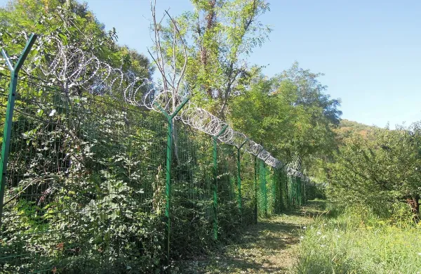 Panelna ograja, za katero je država odštela 3,3 milijona evrov, 
je povsem zaraščena.