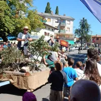 Vozovi so bili letos skromnejši kot ponavadi, saj je tudi za 
njihovo pripravo zmanjkalo časa in denarja.