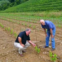 Aktivno preživljanje prostega časa je lahko tudi vinogradništvo. Župan Franc Mužič (desno) s prijateljem Zvezdanom 
Prinčičem preverja rast vinske trte v njegovem novem  
vinogradu.