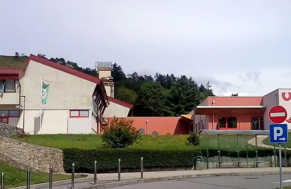 Med osmimi stavbami bi občina energetsko sanirala tudi bistriško šolo Antona Žnideršiča.