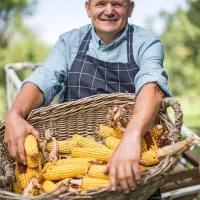 Franc Vozel bo v tokratni sezoni trgoval.