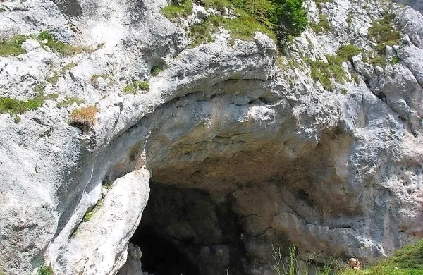 Ljudje so svoje sledi v Potočki zijavki pustili pred 35.000 leti, 
v času ene od kratkotrajnih otoplitev, ko je bila visokogorska 
jama dostopna. Jama ni bila nikoli primerna za bivanje ali za 
daljše zadrževanje ljudi, jamski medvedi pa so jo uporabljali 
kot prezimovališče. 