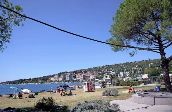 Nelegalni kabli še visijo s krošenj dreves ob robu portoroške 
plaže.