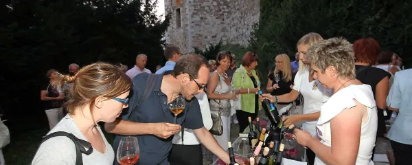 Brike pridejo v torek na Ljubljanski grad