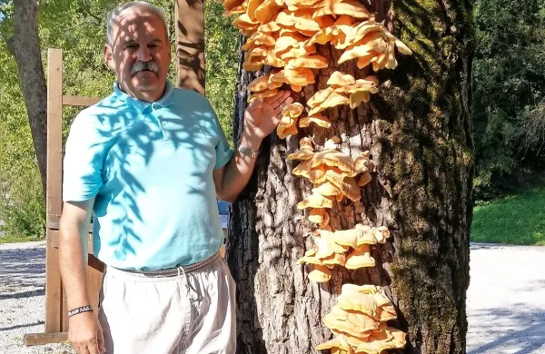 Velika goba zra&scaron;čenka tik bo jezeru
