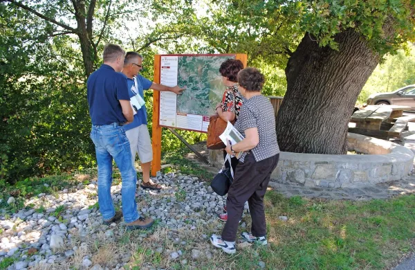 Pe&scaron;pot Po Vertovčevih  poteh se poteguje za najbolj&scaron;o  tematsko pot