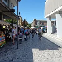 &ldquo;Na odru&rdquo; danes  mojstri kuhalnice, &scaron;ivanke, dleta ... (video)