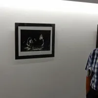 Začeli so se Kogojevi dnevi