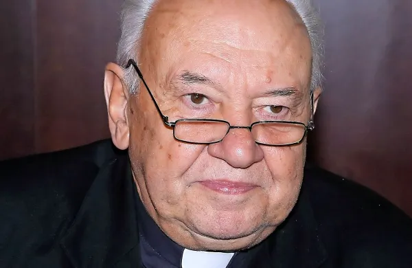 Škof Jurij Bizjak meni, da bi dom moral zadostovati za vse 
potrebe, saj vanj ne bodo šli oziroma niti ne bodo želeli iti vsi, 
ki bi bili do bivanja upravičeni.