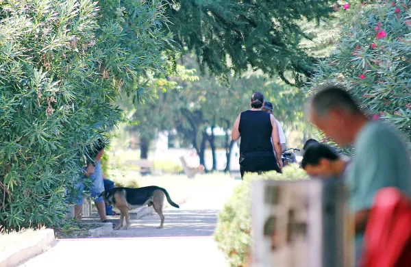 Naše prve neuradne informacije, da naj bi se prepir med 
vpletenima začel že v sredo zvečer v parku, so bile napačne.