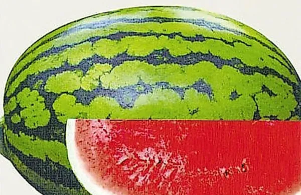  Zajtrk naj spremlja tudi sveže sadje. V sezoni lubenic si 
privoščite sočno rezino tega sadeža. 