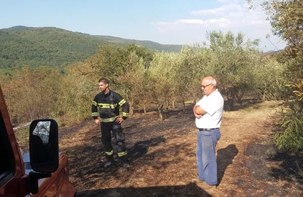 Libero Benčič je danes dopoldne na pogorišču pod vasjo 
Bezovica lahko le nemočno opazoval ožgano listje svojih 
oljk.