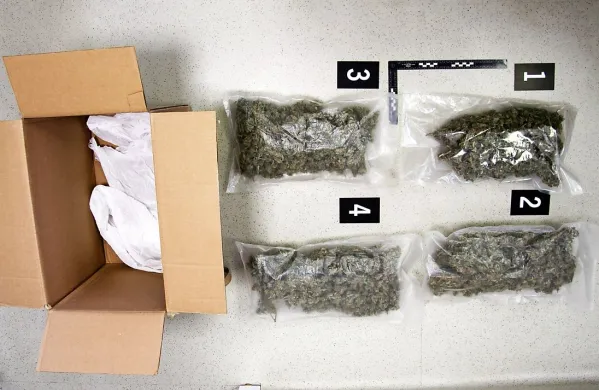 V več prostorih hiše v Ankaranu so kriminalisti pred petimi leti 
odkrili skoraj 4,5 kilograma posušene konoplje.