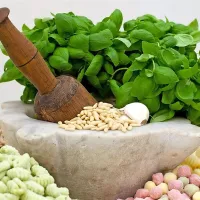 Iz bazilike lahko pripravimo tudi pesto genovese.