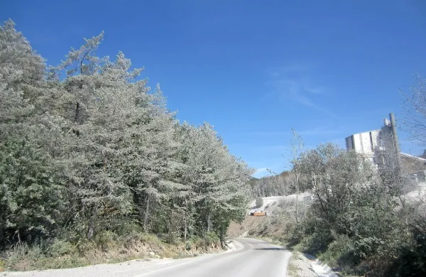Tako je videti okolica vasi Laže: prah iz kamnoloma povsem 
onesnaži okolje, da ni  več primerno za normalno bivanje, 
hrup strojev in tovornjakov, tudi do 23. ure, pa vaščanom  
cefra živce in onemogoča spanec.  