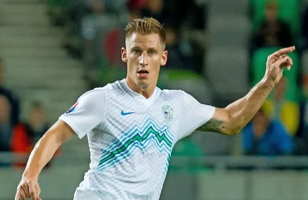 Valter Birsa