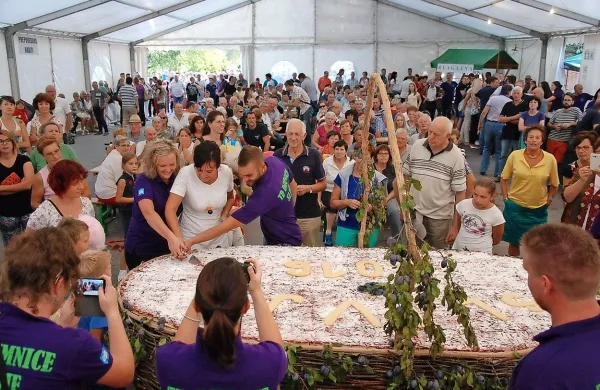 Češpova pita velikanka je tehtala kar sto kilogramov, a je bila 
očitno zelo dobra, saj od nje ni ostala niti ena češpa. 