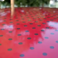 Streha je lahko tudi polepljena.