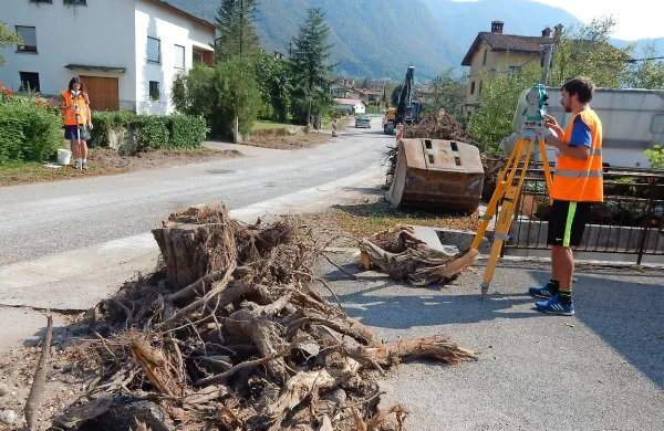 Sekanje mogočnih lip je bilo neizogibno, po obnovi bodo 
zasadili gorske javorje. Med ostanki korenin so zdaj že na 
delu geodeti.