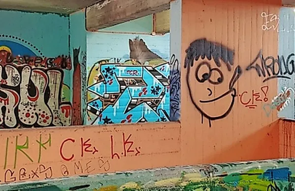 Grafitarjem v Trstu se obetajo visoke kazni.