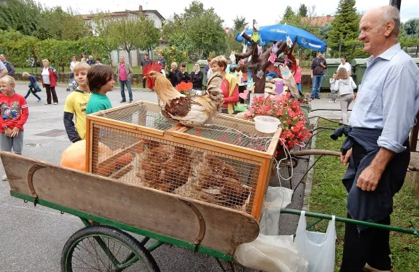 Vrtojbenci so spet &ldquo;borili&rdquo; borele