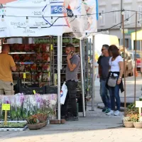 Okusi meje konec tedna vabijo v Gorico