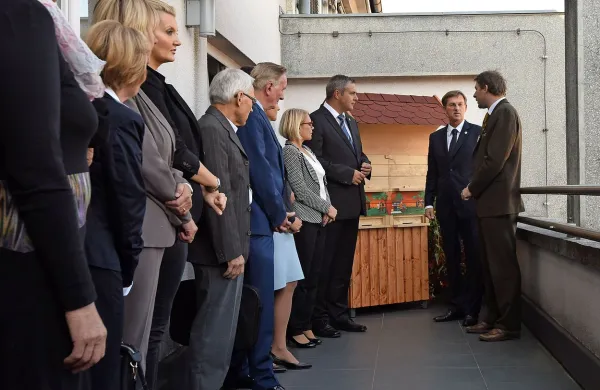 Vladna stavba ima po novem na balkonu čebelnjak z dvema 
panjema.
