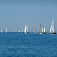 Regata starih lesenjač
