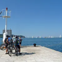 Regata starih lesenjač