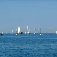 Regata starih lesenjač