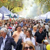 700.000 ljudi, jedi z vsega sveta, zmagala pa je pleskavica (foto)