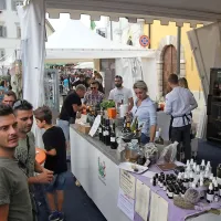 700.000 ljudi, jedi z vsega sveta, zmagala pa je pleskavica (foto)