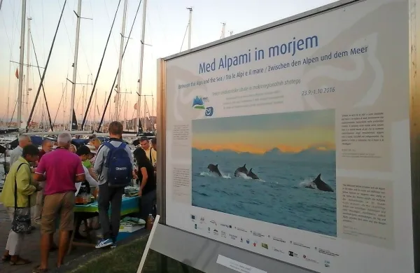  V izolski marini so postavili fotografsko razstavo na panojih z 
naslovom Alpe, kot jih vidijo ptice. 