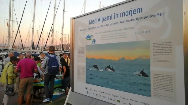  V izolski marini so postavili fotografsko razstavo na panojih z 
naslovom Alpe, kot jih vidijo ptice. 