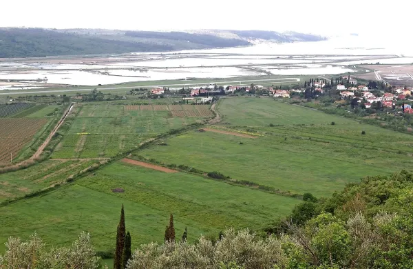Odločitev, ali so vsa zemljišča v Sečovljah, na katerih je 
piranska občina načrtovala ureditev golf igrišča, res državna 
last, še ni pravnomočna.  