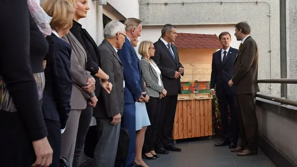 Primorske poslance smo vprašali, kaj menijo o interpelaciji 
vlade.